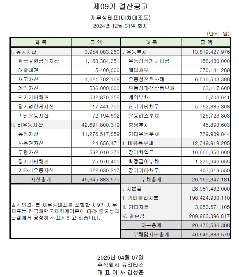 제 9기 결산보고.png
